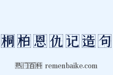 桐柏恩仇记造句是什么意思的图片